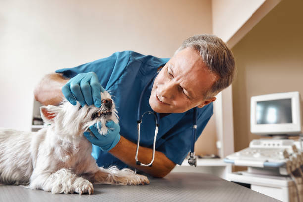 Best Emergency Tooth Extraction in Eastern Goleta Valley, CA